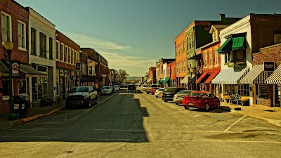 Photo 4